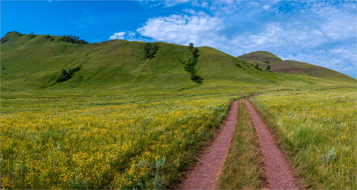 *** - Алексей Мезенцев *** - Алексей Мезенцев