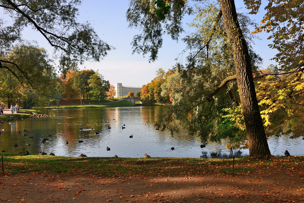*** - Александр Хаецкий