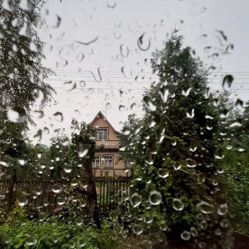 Дождь - Наталья Герасимова