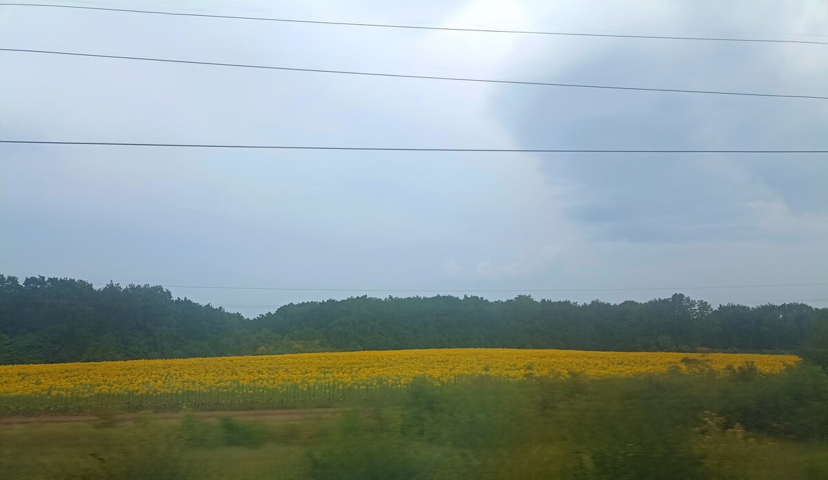 Дорога, дорога... - Pippa Дорога, дорога... - Pippa