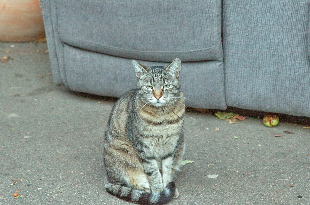 -- - vladimir -- - vladimir