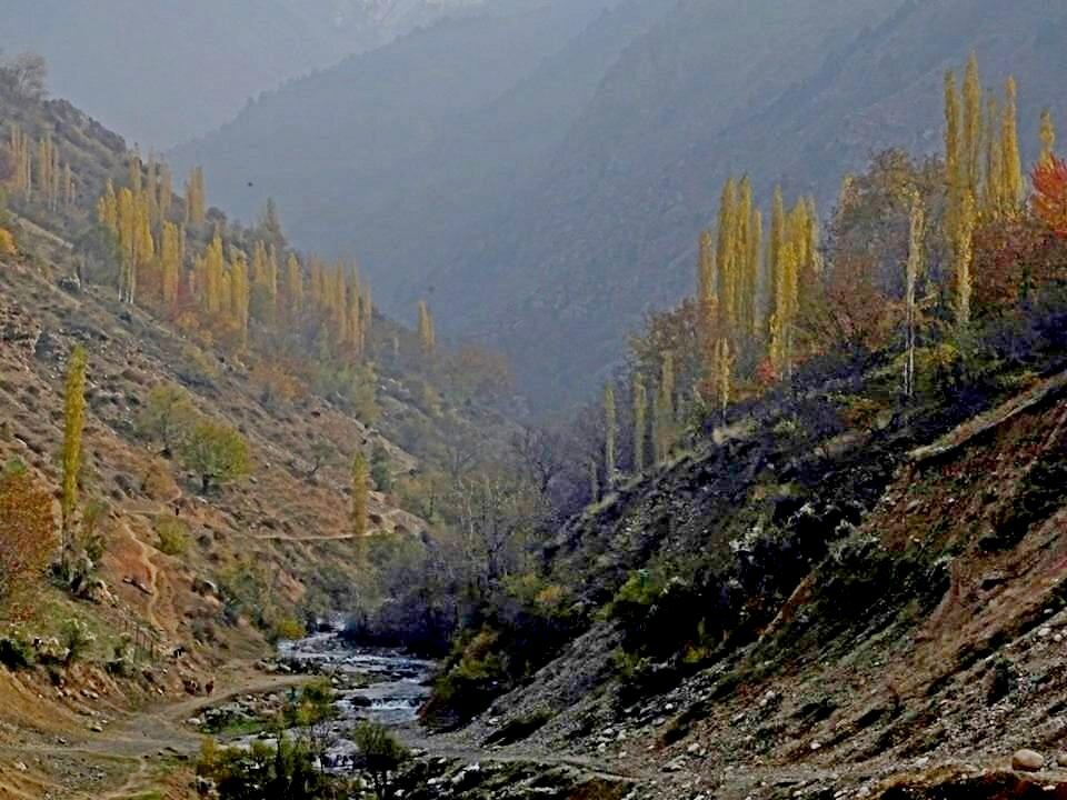 ПО НИЗАМ. - Виктор Осипчук