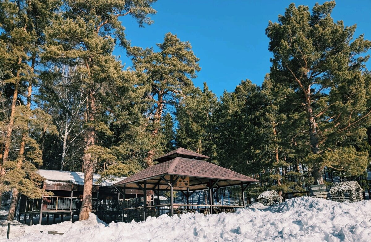 Зима - Георгиевич 