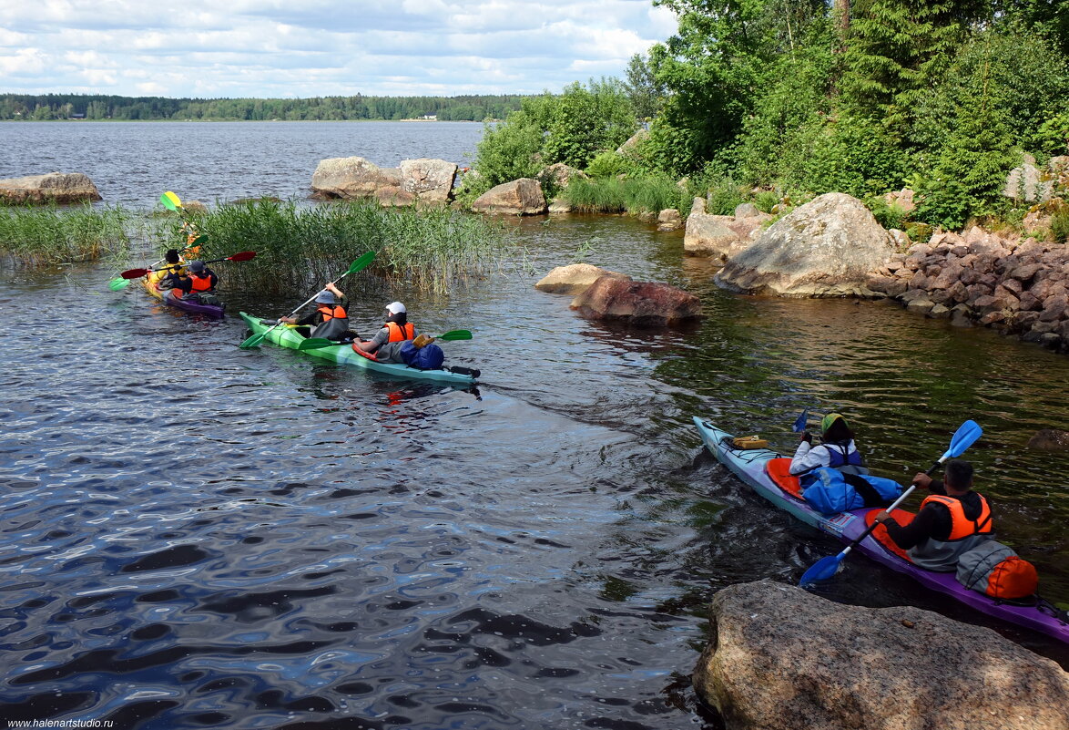 Куда и Зачем? - Игорь Корф