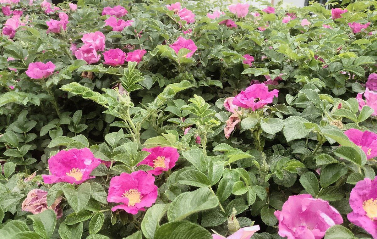 лето 2025 - Анастасия Малыгина