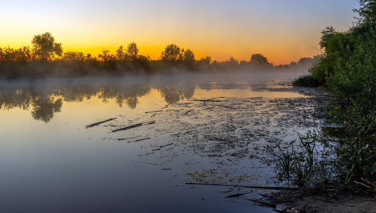**** - Виталий Емельянов