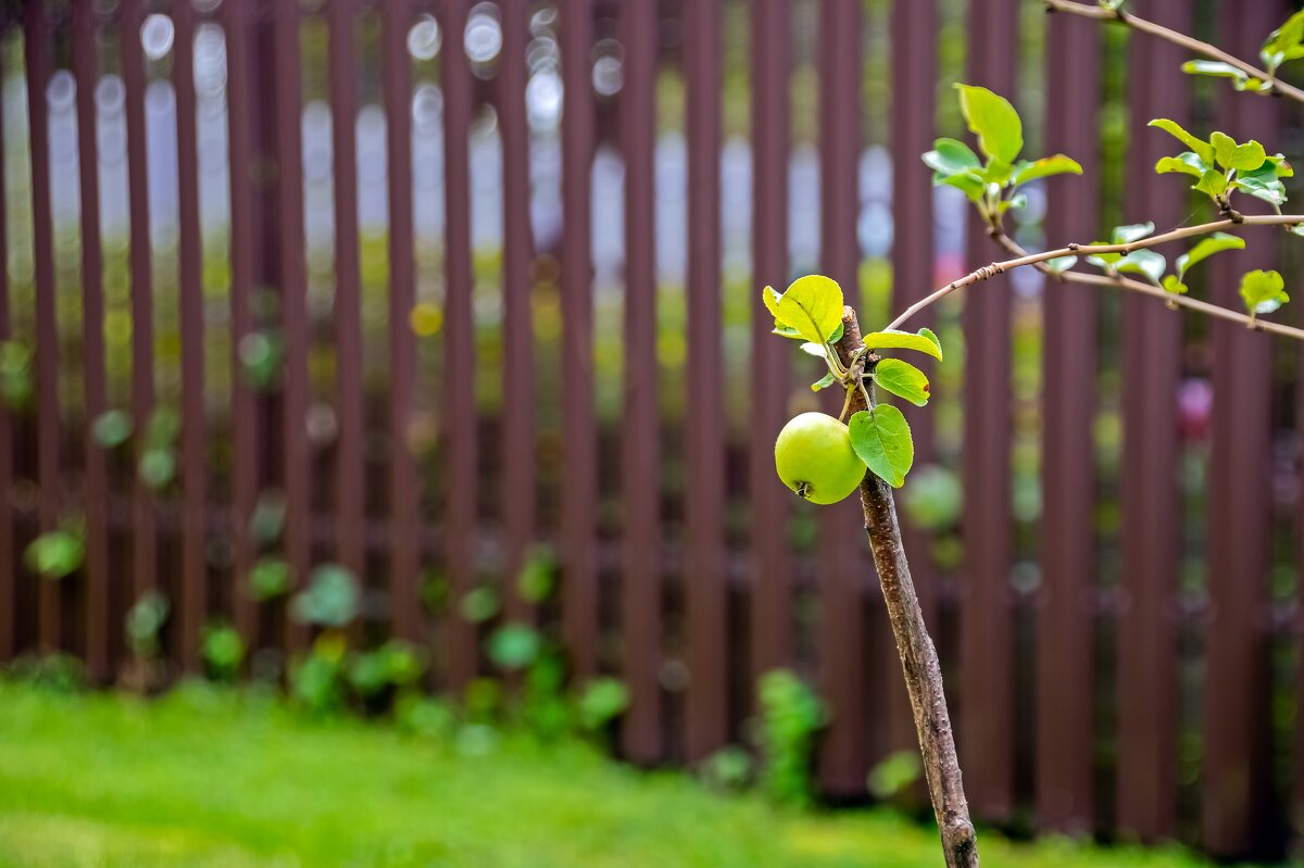 Молодым нужна поддержка - Валерий Иванович