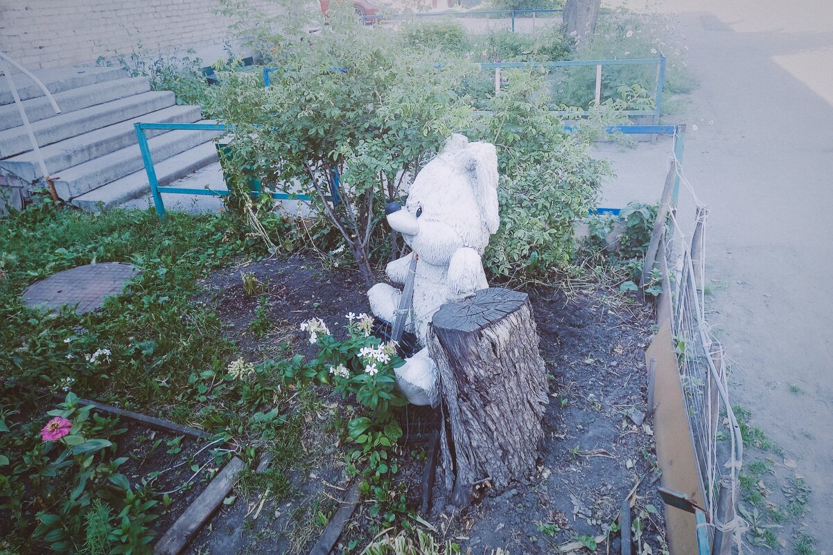 Белый мишка в, гостях лета. - Игорь Солдаткин