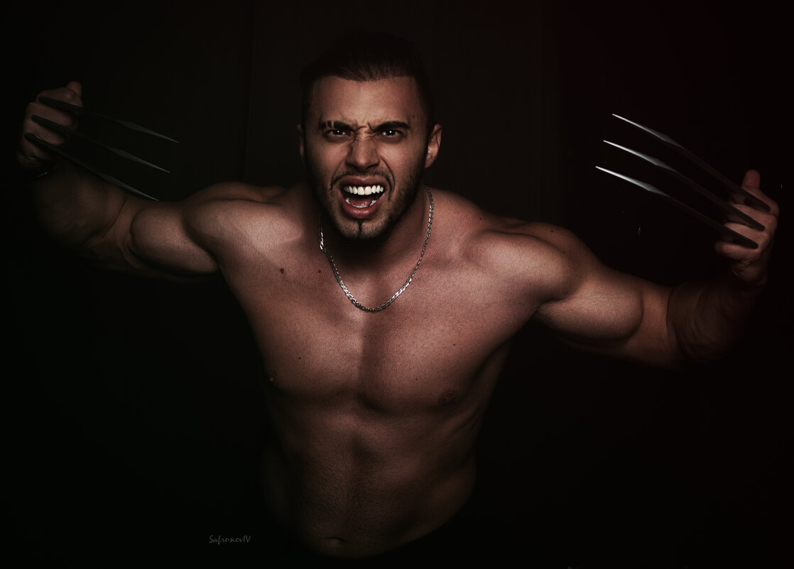 Сила и ярость: портрет героя - Джованни Луче