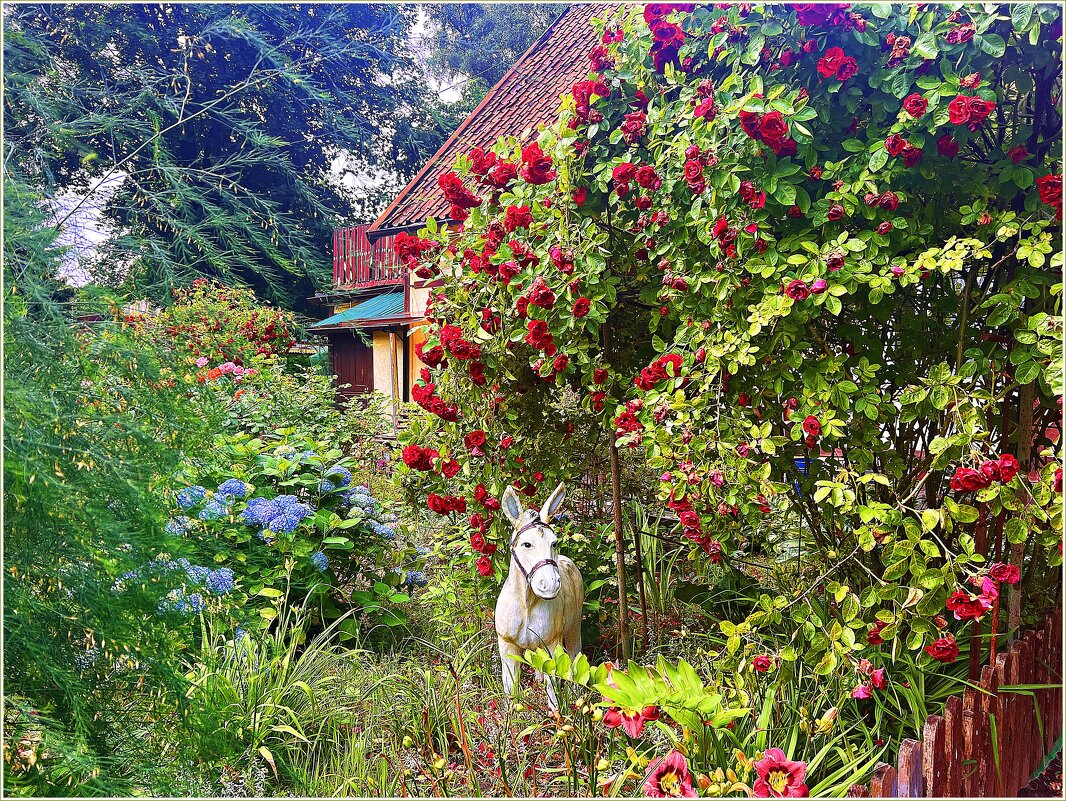В палисаднике. - Валерия Комова