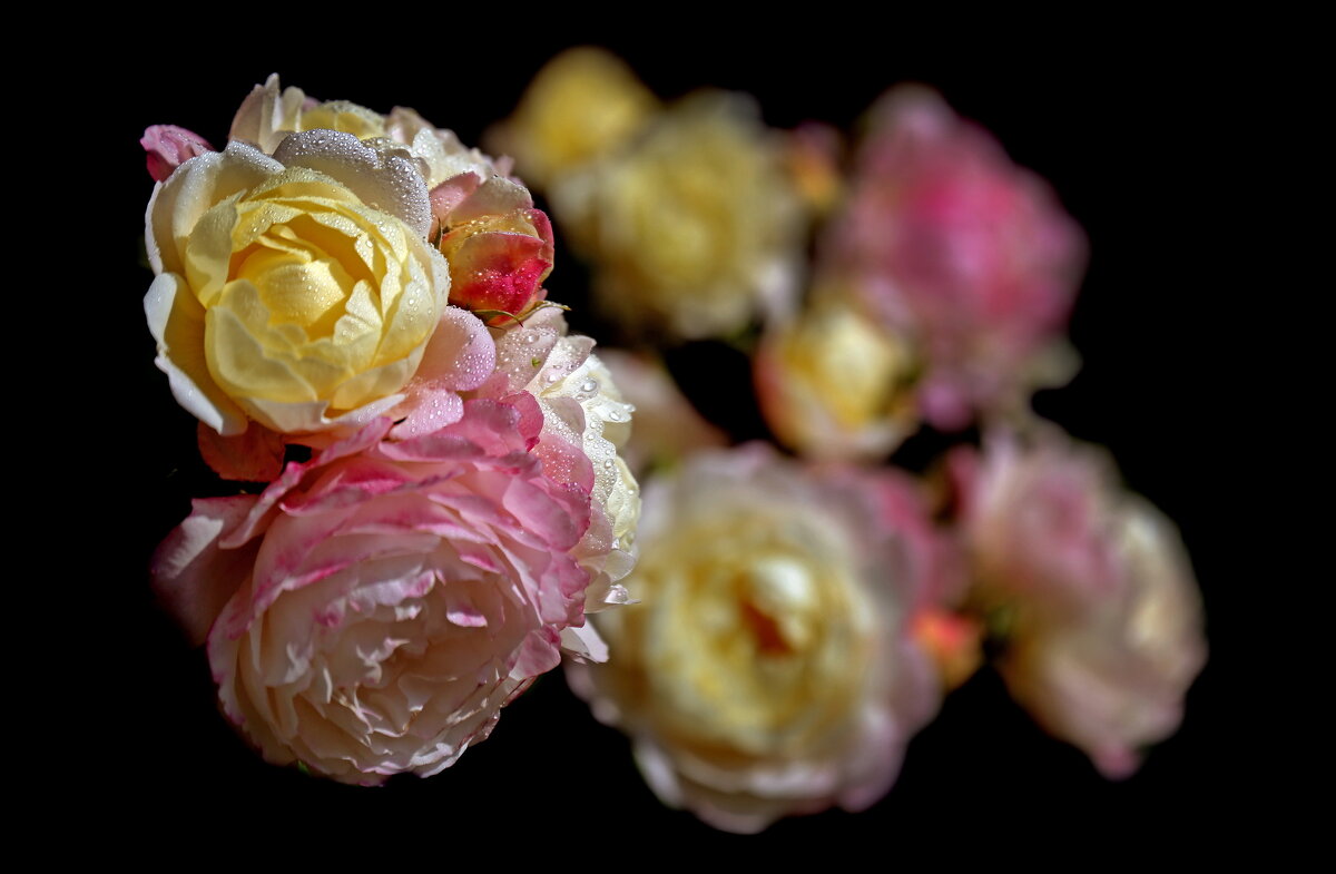 июнь - Михаил Бибичков июнь - Михаил Бибичков