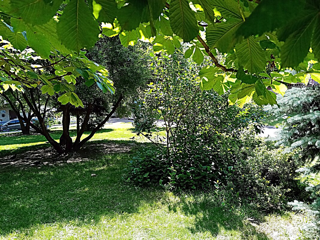 Московский двор. - Владимир Драгунский