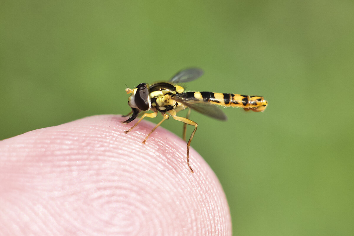 Доверие - Геннадий Супрун
