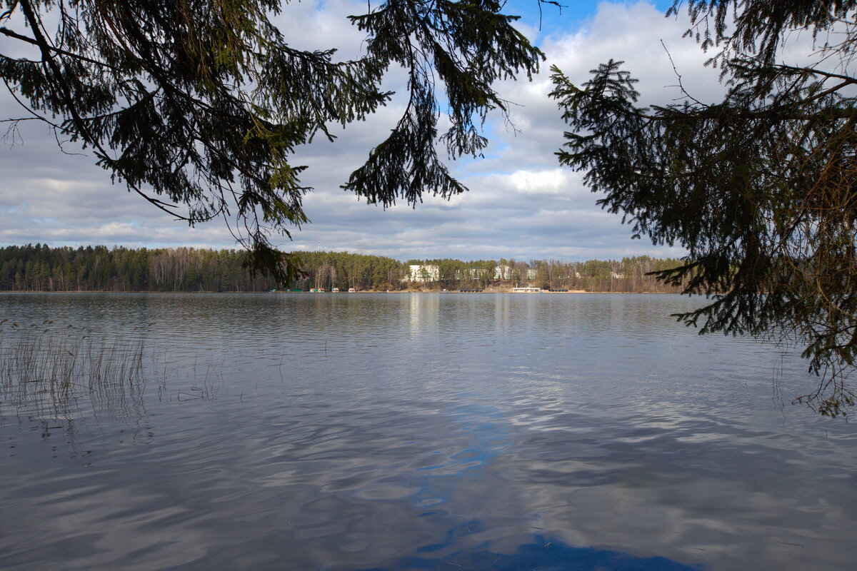 Озерное... - M Marikfoto