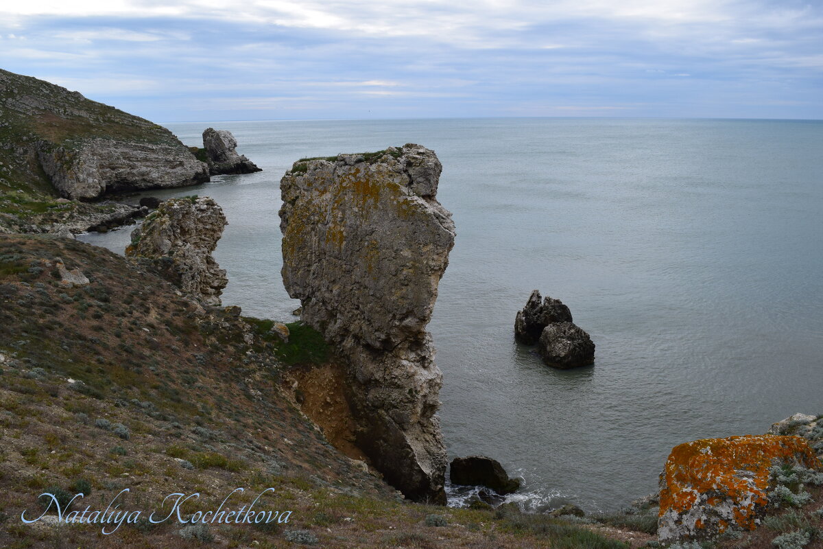 Природа Крыма - Amazing Cosmea