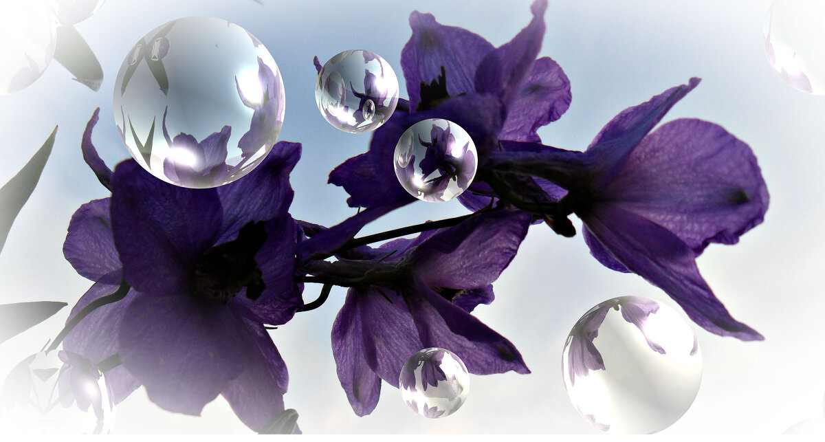 Фантазия - Ирина 