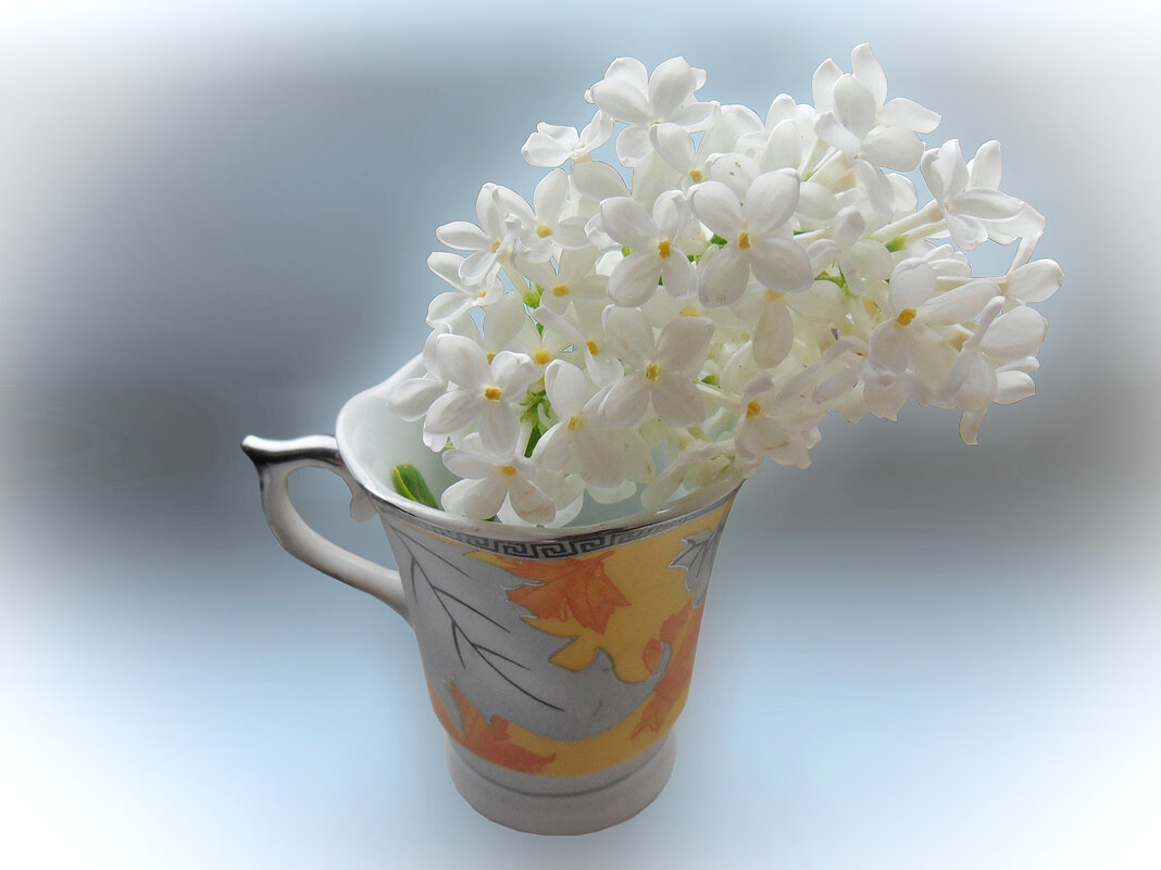 Нежность - Ирина 