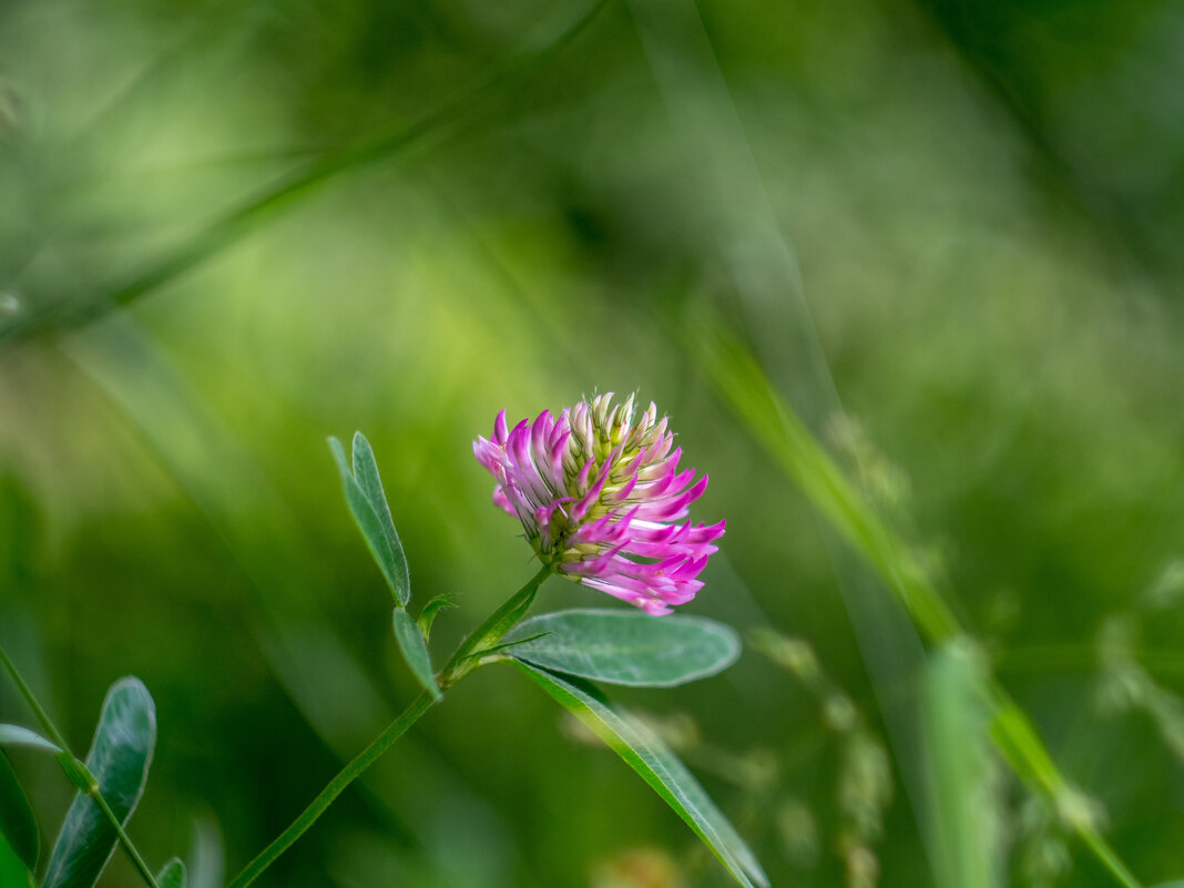 ___ - Yuriy V ___ - Yuriy V