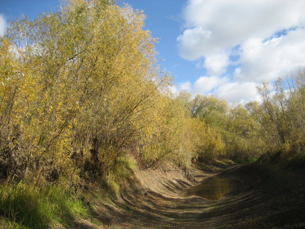 Осень - Anna Ivanova