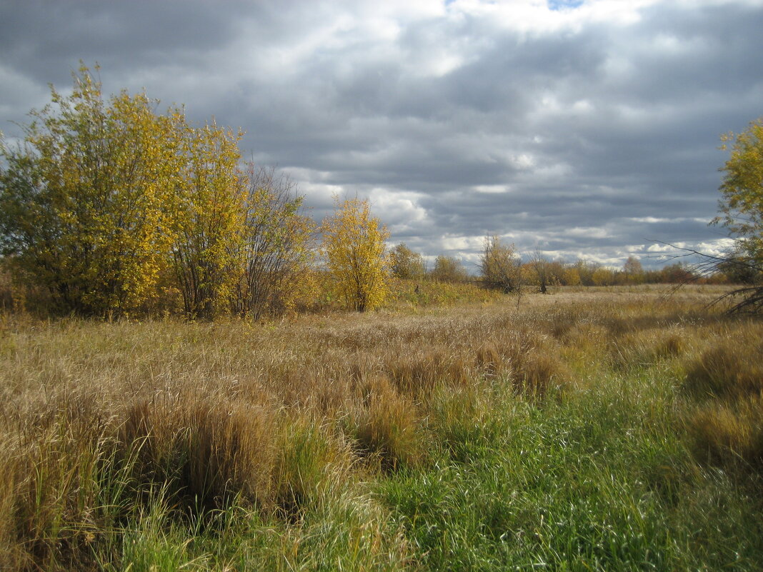 Осень - Anna Ivanova