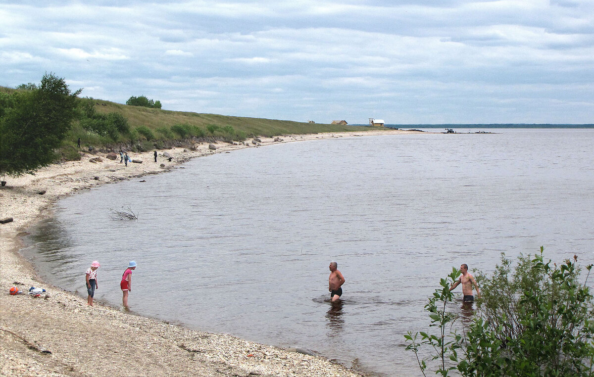 Озеро Ильмень - Александр Ильчевский 