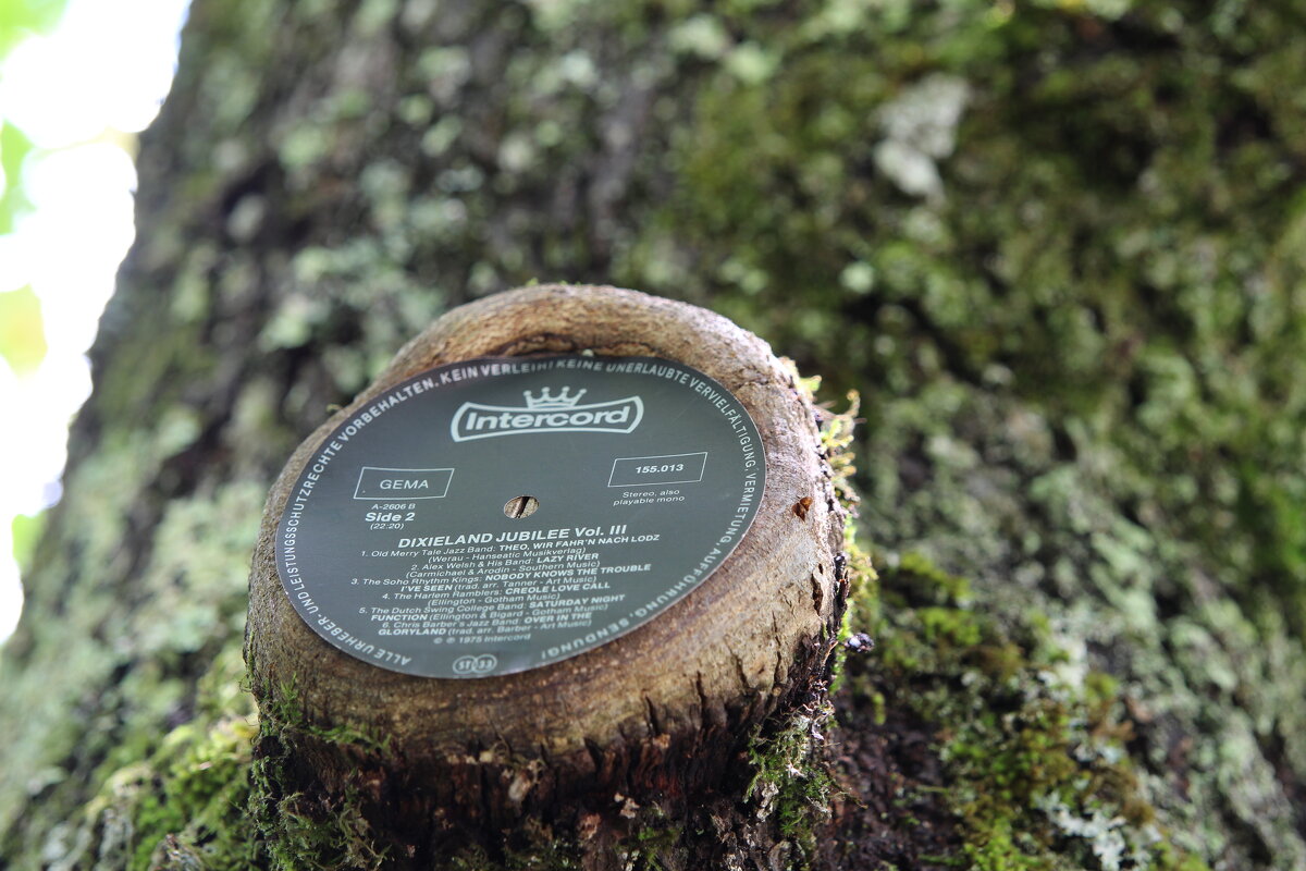 Музыкальный дуб - Валерий 