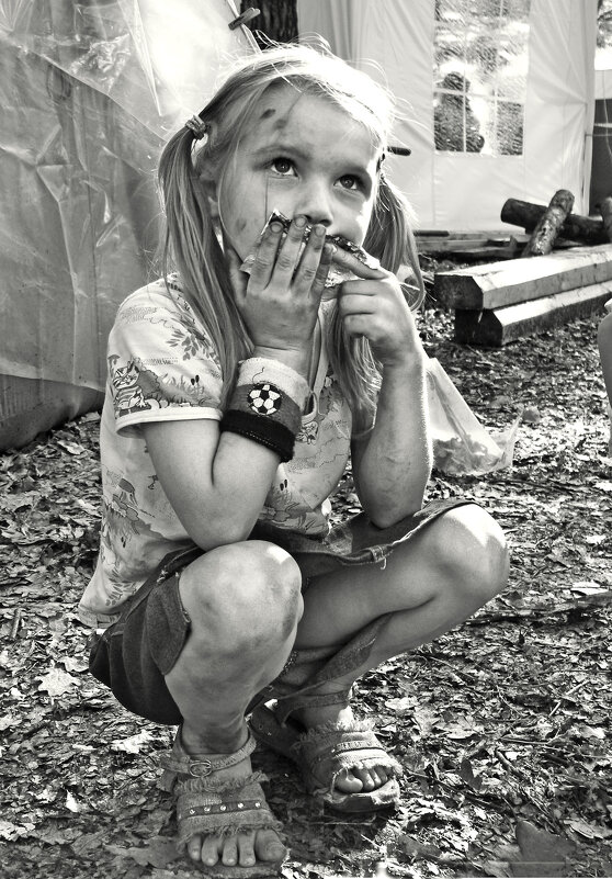 Шоколадки больше нет - СЮ 