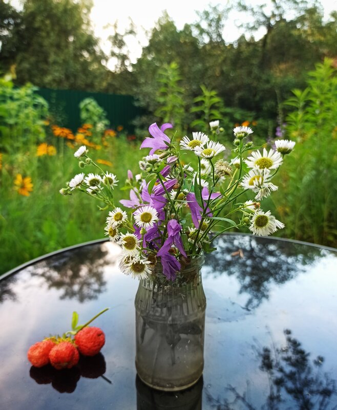 Катится лето... - veilins veilins Катится лето... - veilins veilins