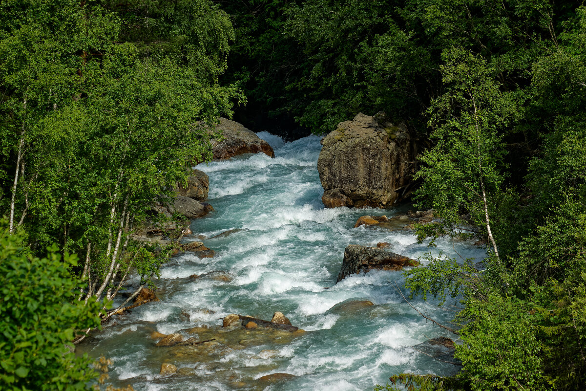 Махар - Дмитрий Емельянов