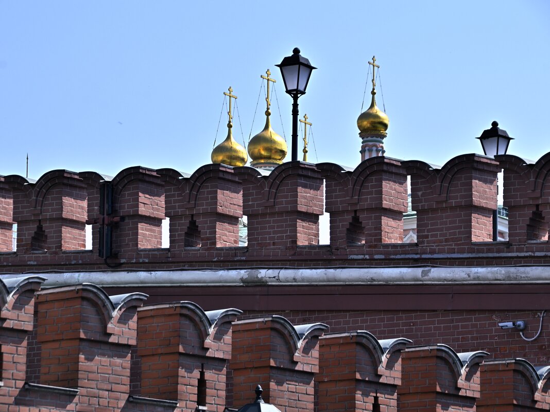 - - Владимир Мигонькин