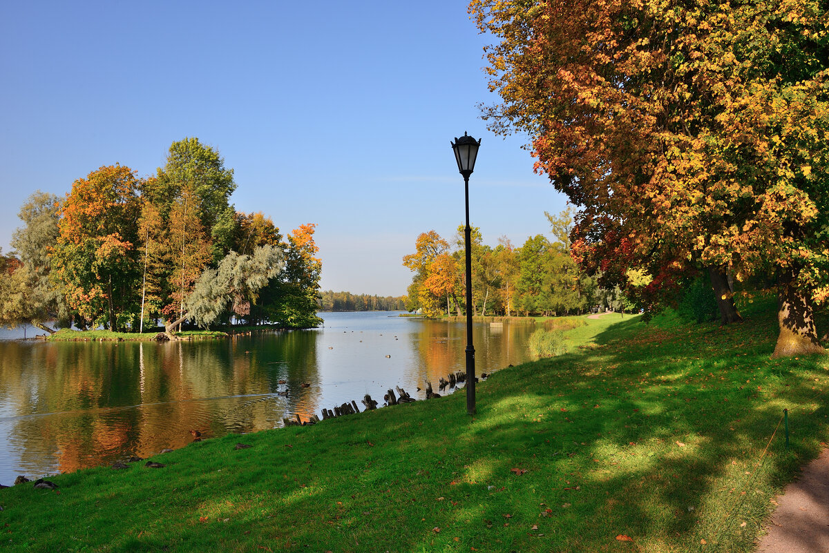 *** - Александр Хаецкий