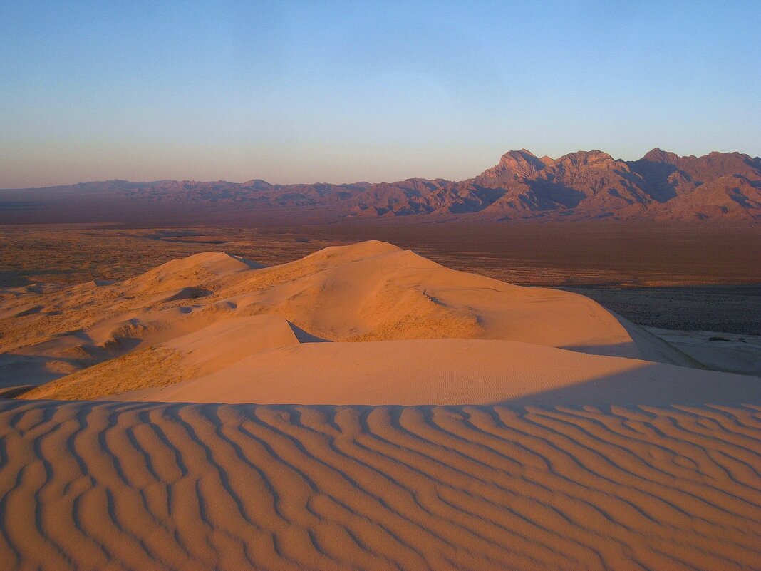 Вечерние дюны Келсо в Калифорнии. - unix (Илья Утропов)