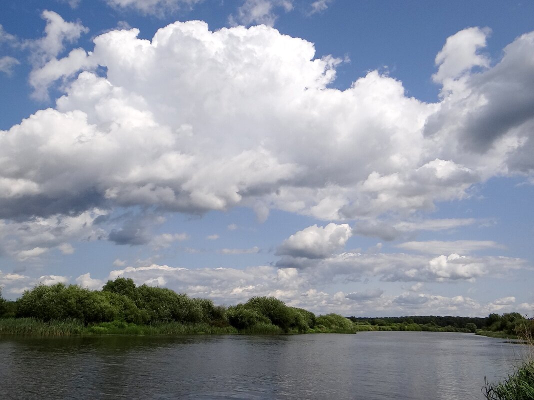 Облачно, ветрено - Антонина Гугаева