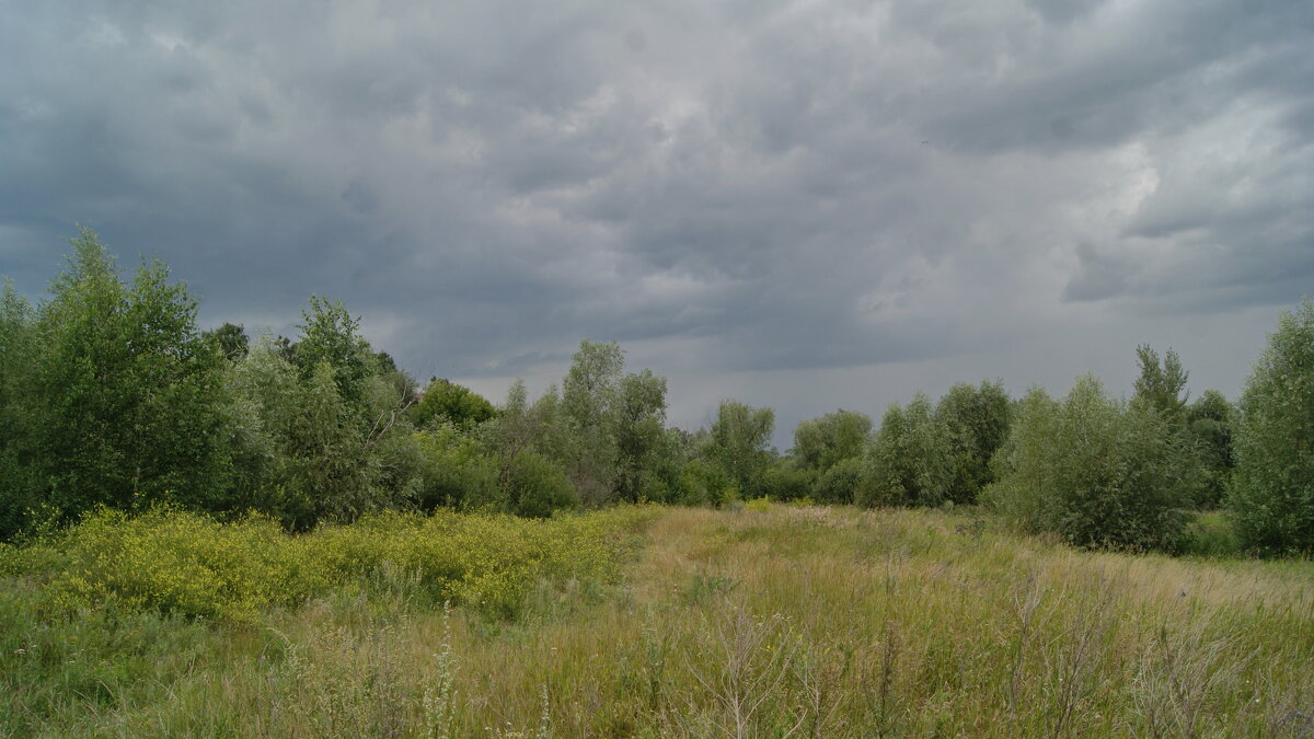 Июль,вечер. - сергей ермошкин