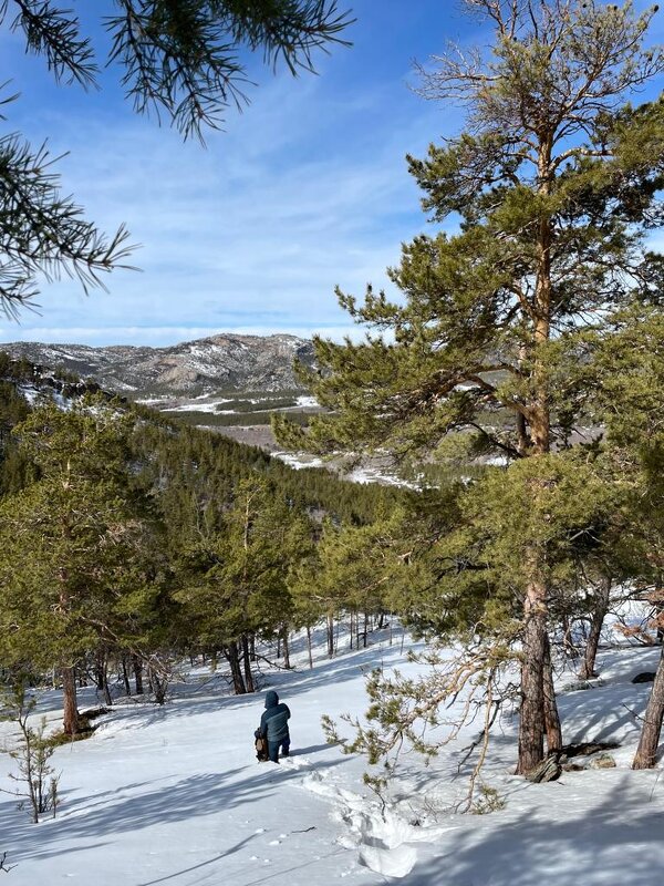 Зима в горах - Георгиевич 