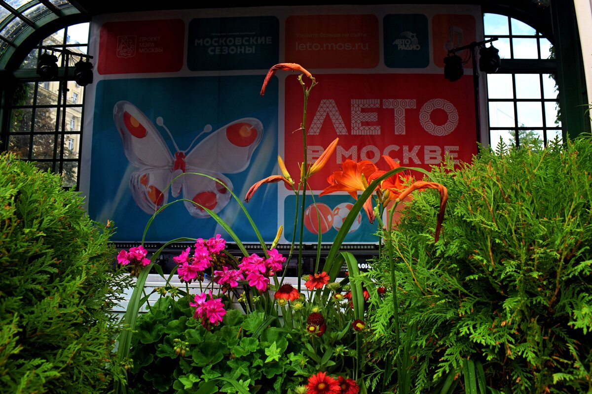 Масштабный городской фестиваль "Лето в Москве". - Татьяна Помогалова Масштабный городской фестиваль "Лето в Москве". - Татьяна Помогалова