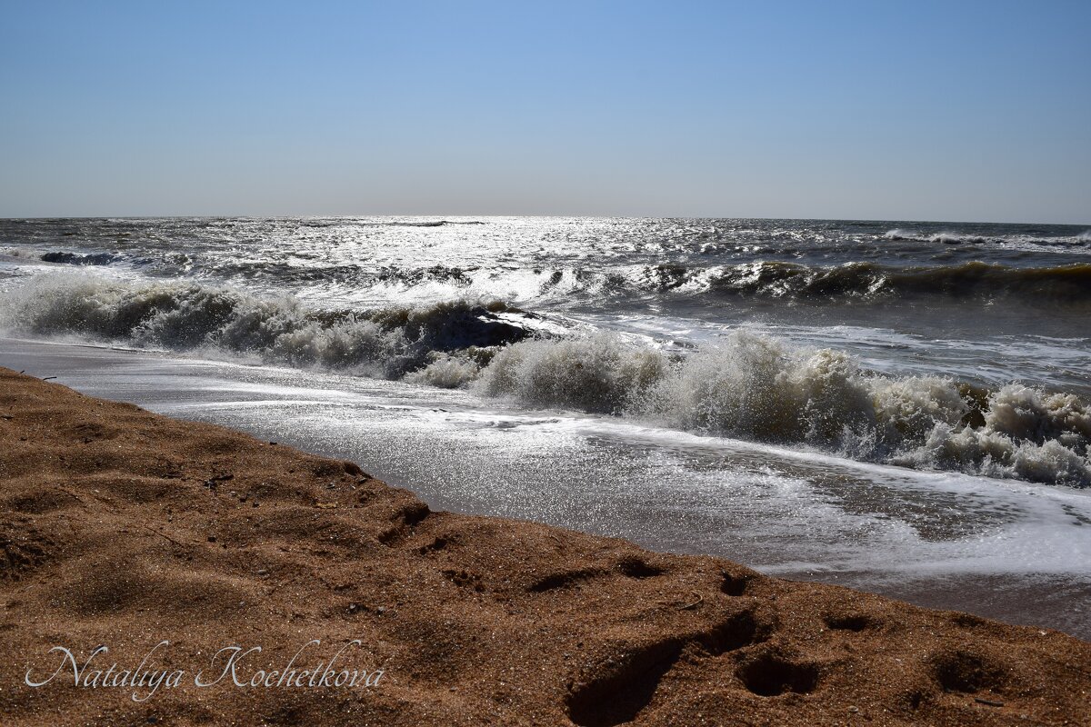 Природа Крыма - Amazing Cosmea