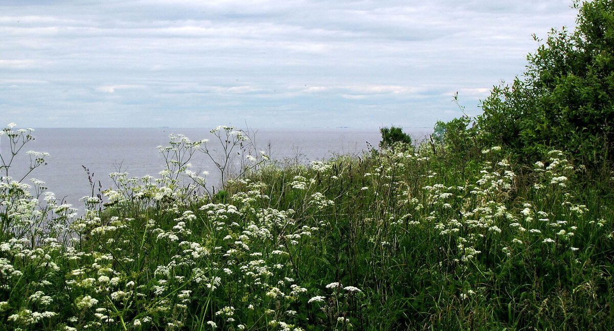 Лето - Александр Ильчевский 