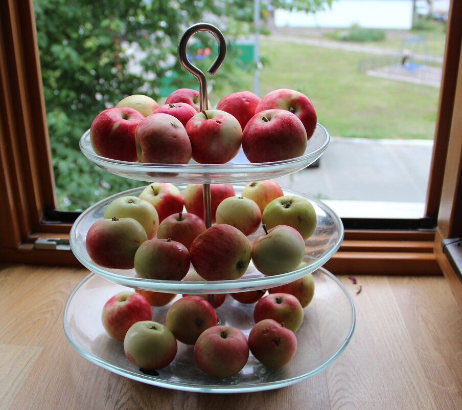 Щедрый июль. - Венера Чуйкова