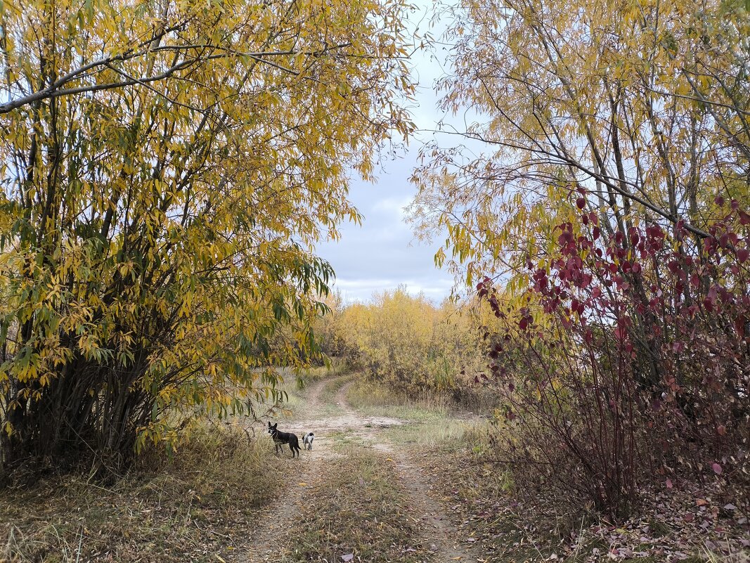 Осень - Anna Ivanova Осень - Anna Ivanova