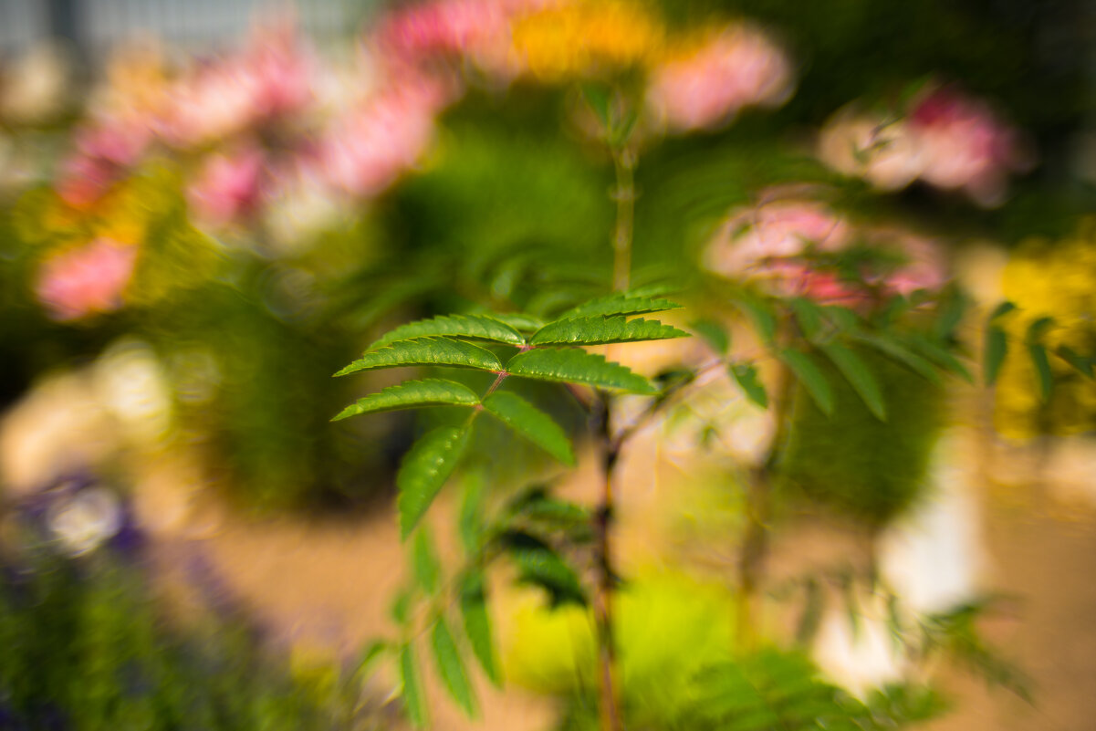 Природа - А кузнецов