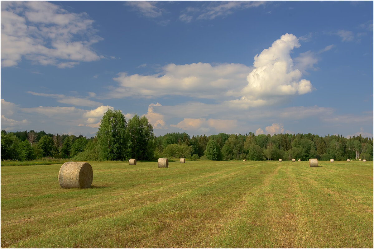 Сенокосная пора - Валентин Котляров Сенокосная пора - Валентин Котляров