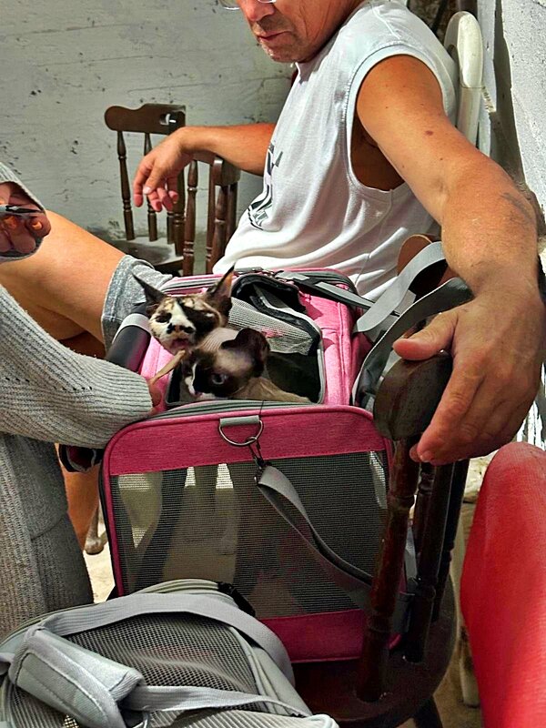 ФОТО   ИЗ   УБЕЖИЩА (2) - Анатолий Малобродский