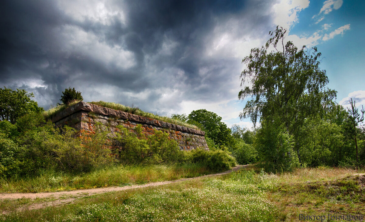 Гора Папула, Выборг - Laryan1 Гора Папула, Выборг - Laryan1