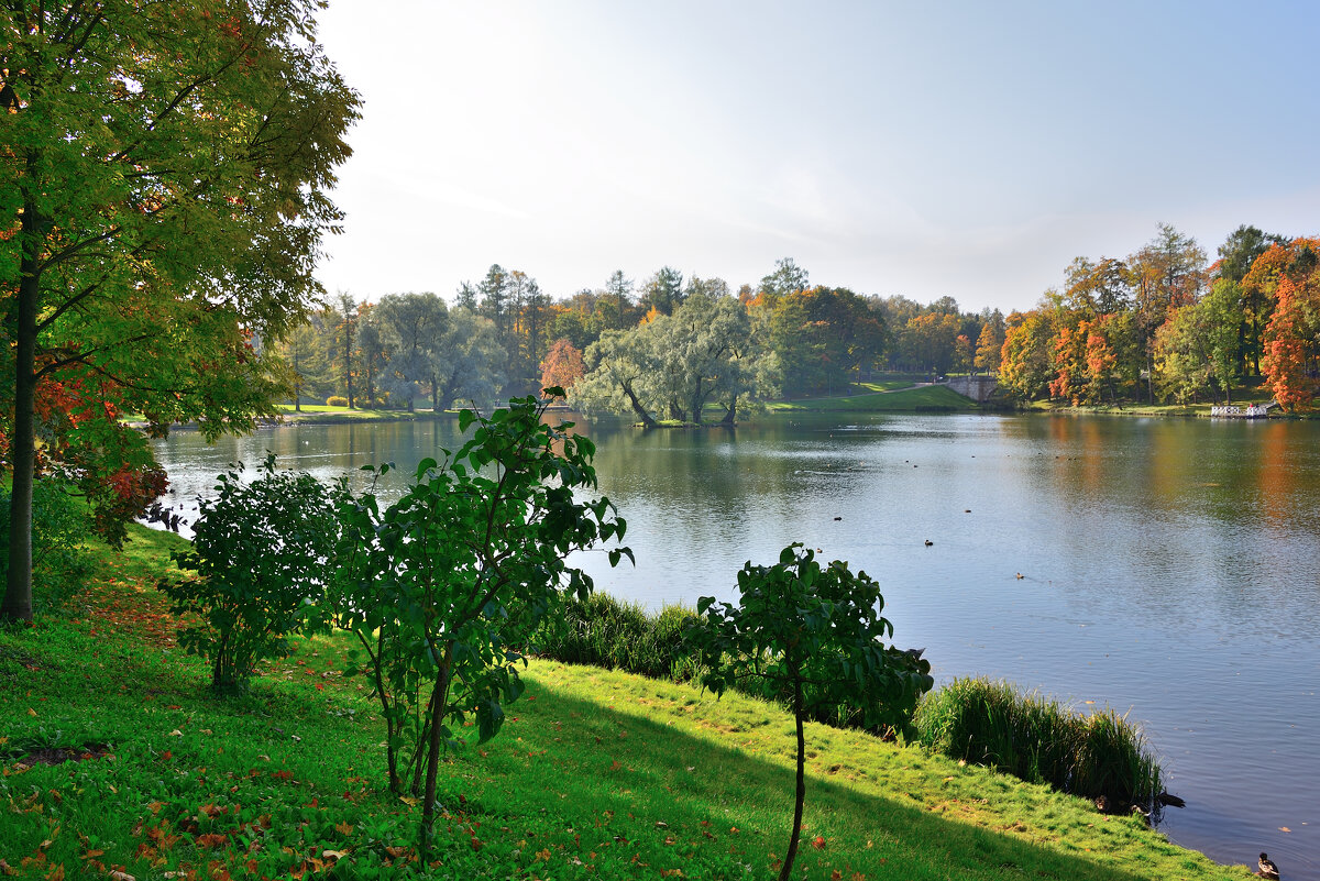 ** - Александр Хаецкий