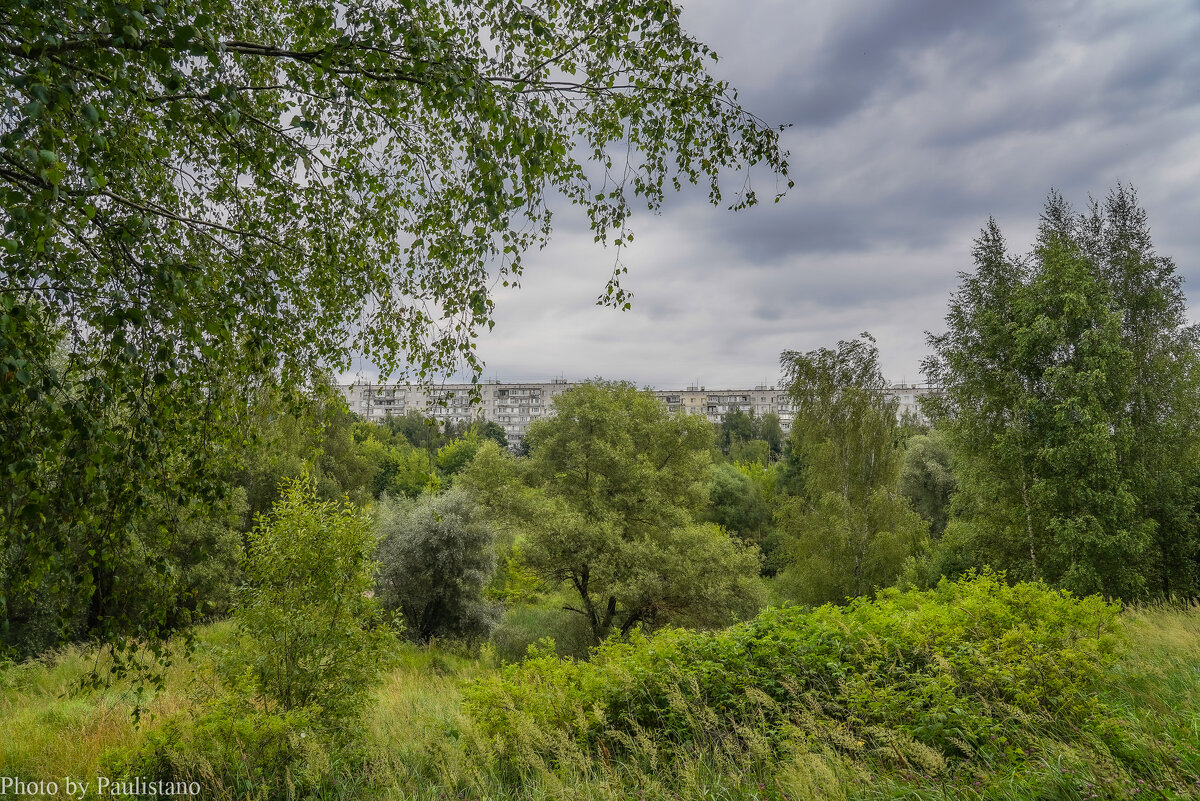 Хмурый июль... - Владимир Жданов