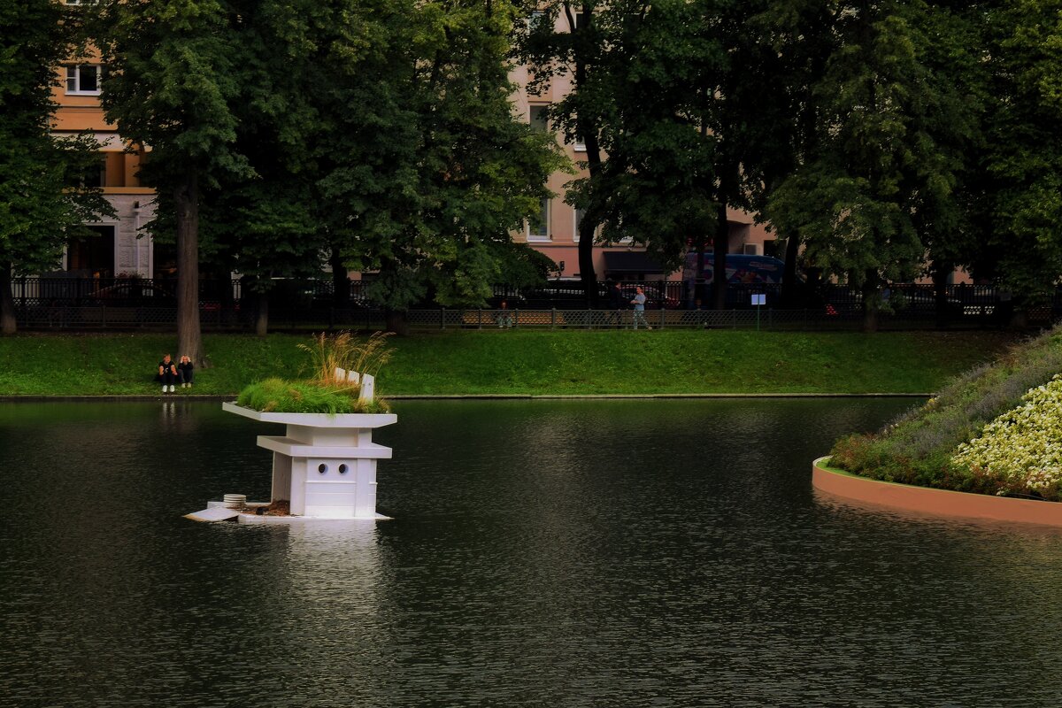 Новая жилплощадь лебединой семьи на Патриарших прудах. - Татьяна Помогалова