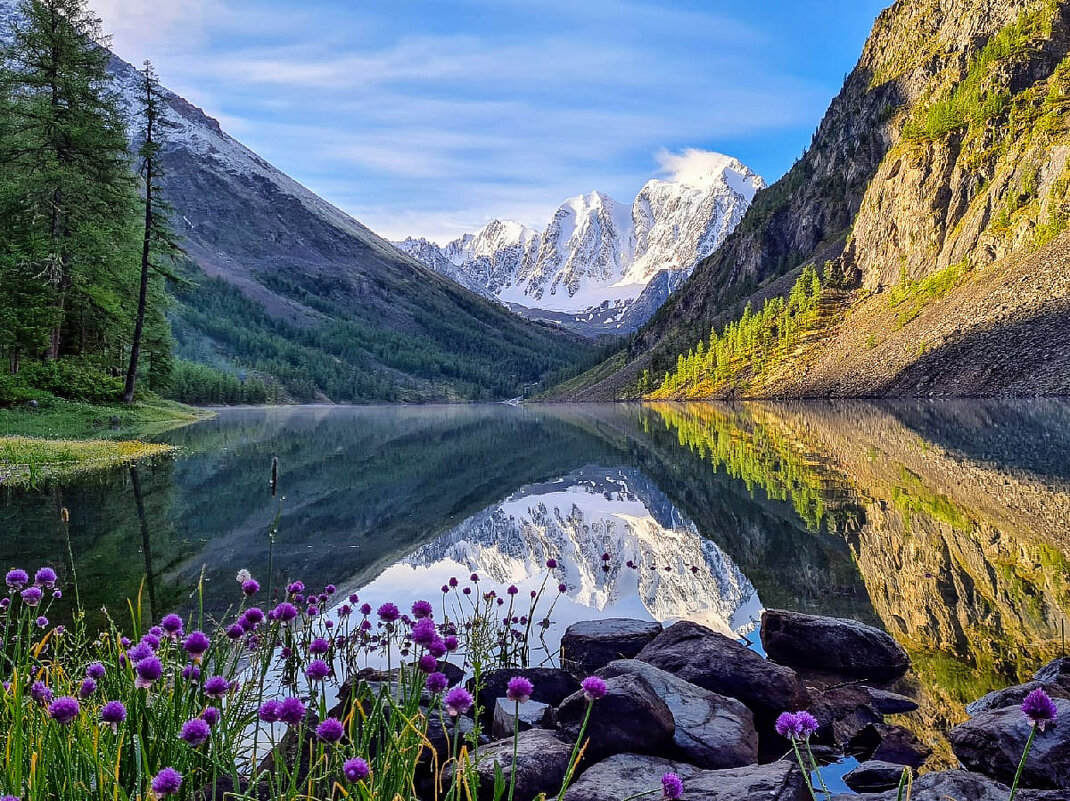 Отражение - Виктор Фоменко