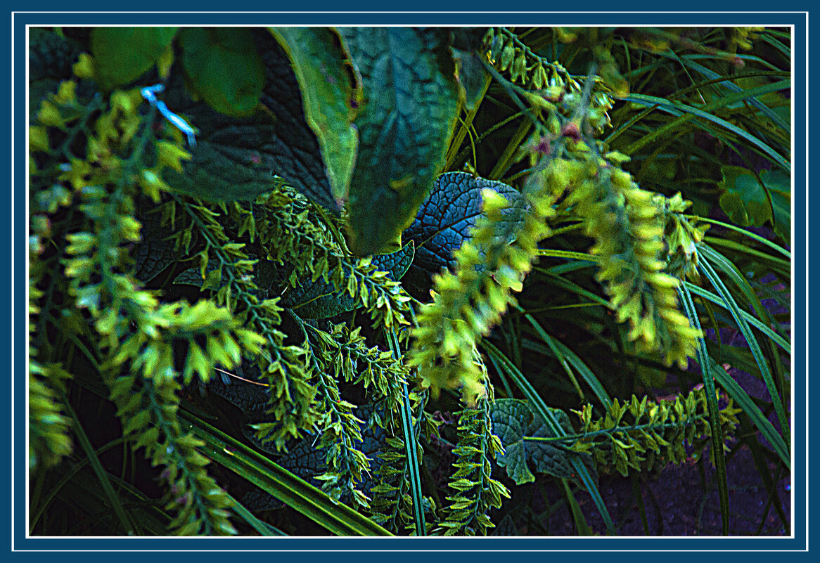 Веточки - Владимир Кроливец