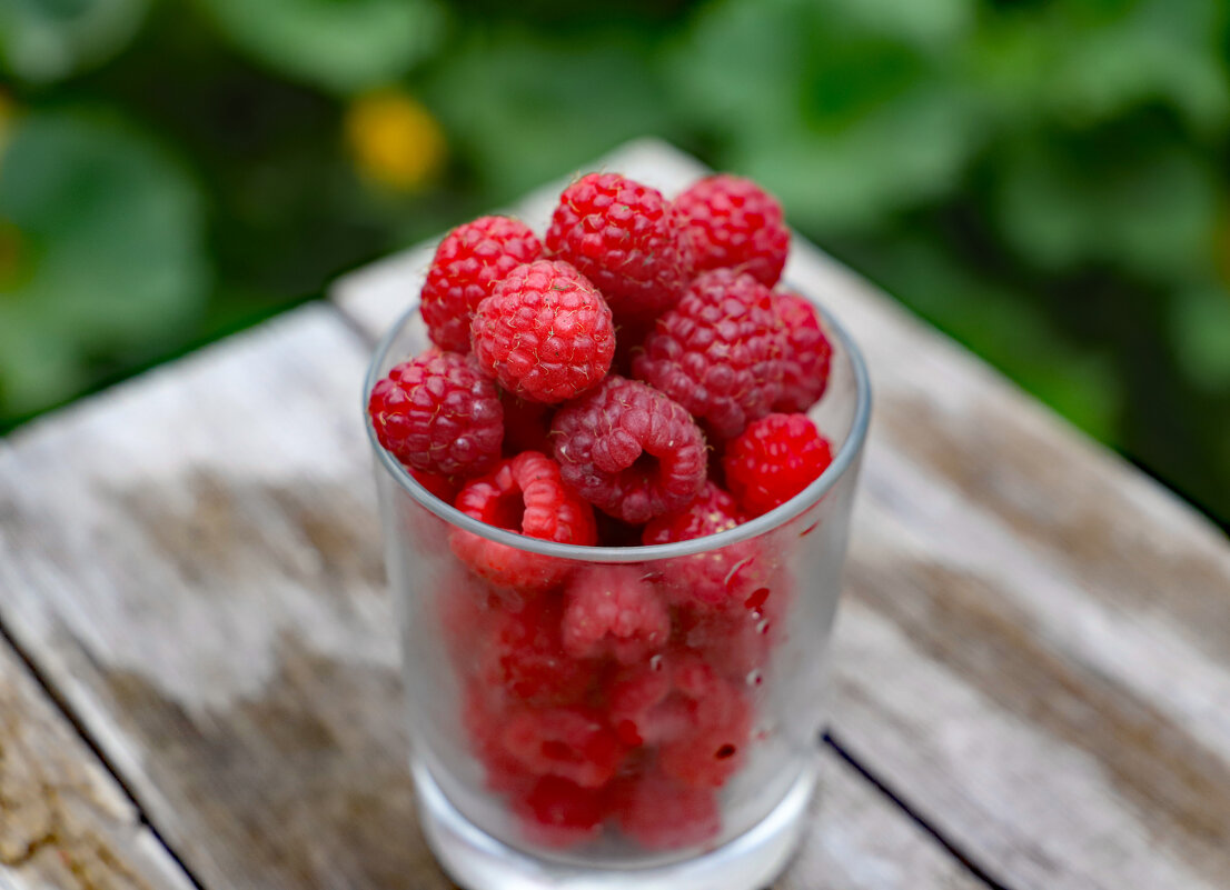 малинка - краснов юрий 